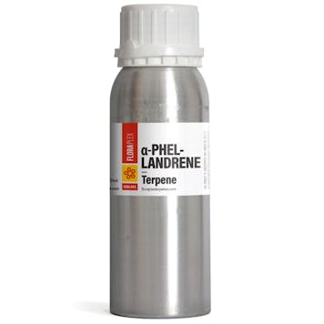 Photo of Alpha-Phellandrene